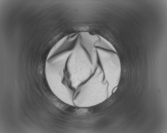 X0000080710374200701121824