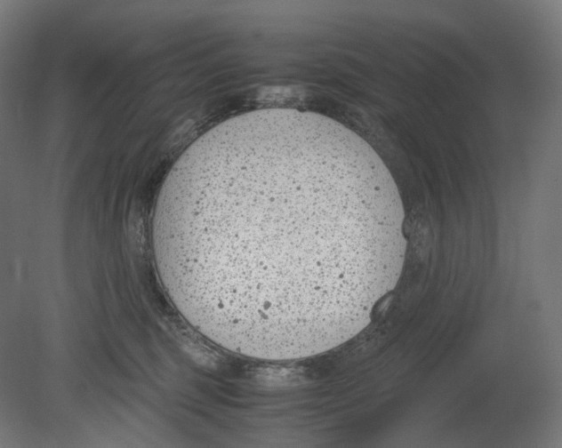 X0000080710375200701121824