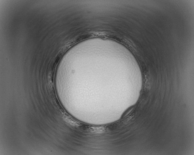 X0000080710377200701121824