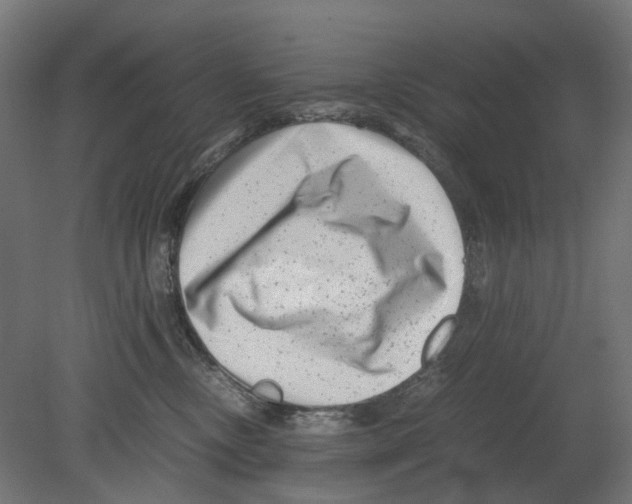 X0000080710378200701121824