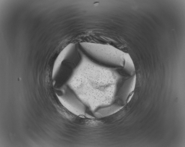 X0000080710379200701121824