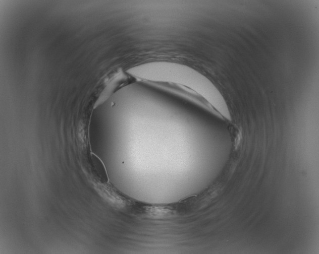 X0000080710380200701121824