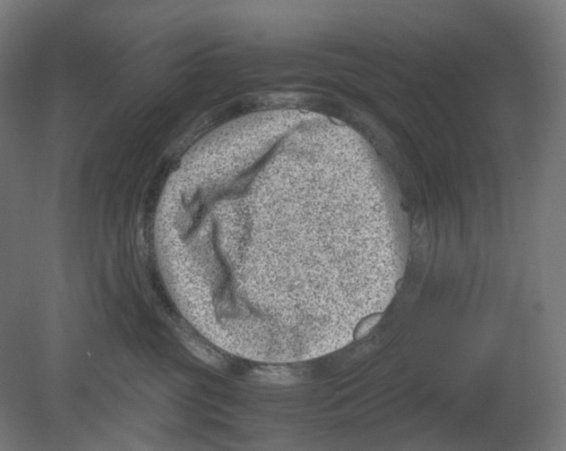 X0000080710381200701121824