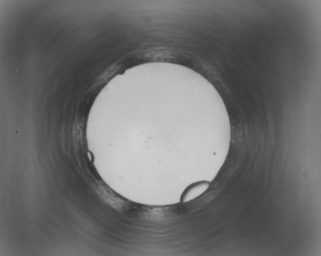 X0000080710382200701121824