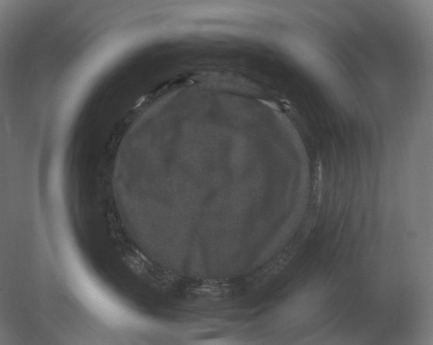 X0000080710383200701121824