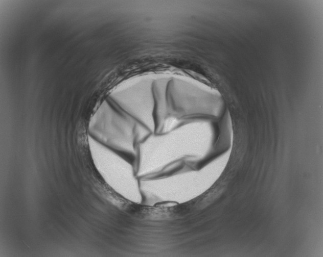 X0000080710384200701121824