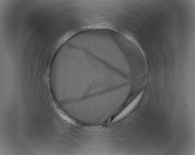 X0000080710389200701121823