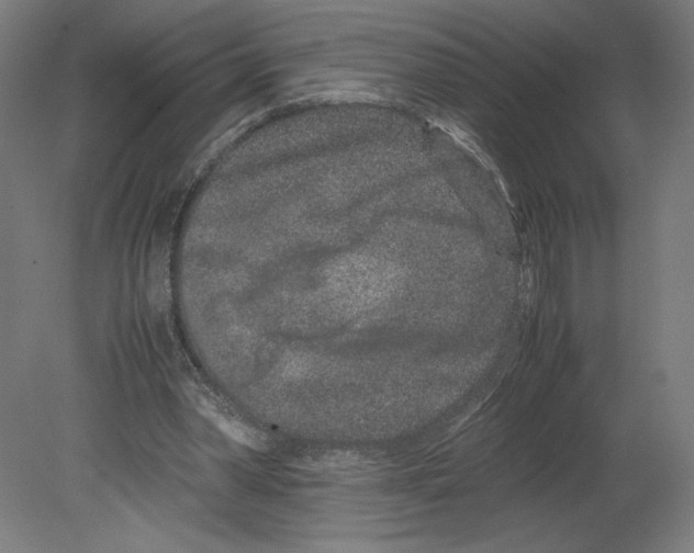 X0000080710390200701121823