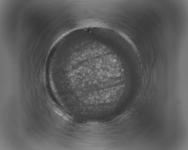 X0000080710391200701121823