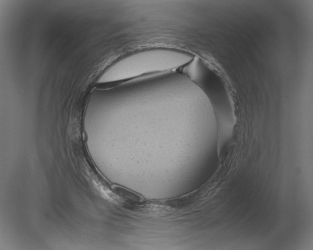 X0000080710393200701121823