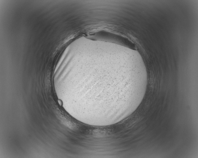 X0000080710394200701121823