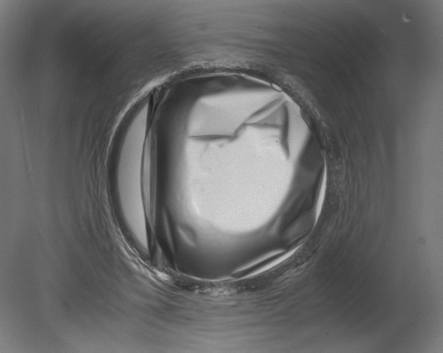 X0000080710395200701121823