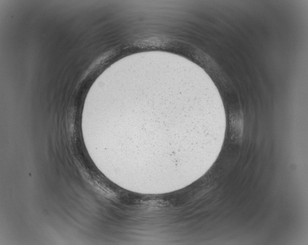 X0000080710396200701121823