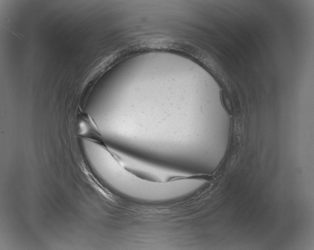 X0000080710397200701121823