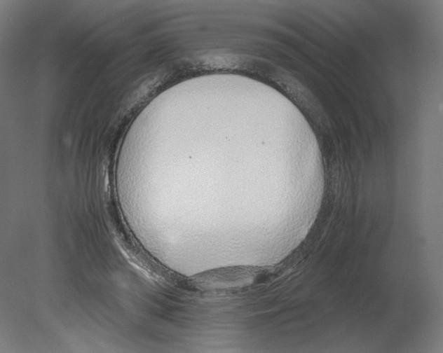 X0000080710398200701121823