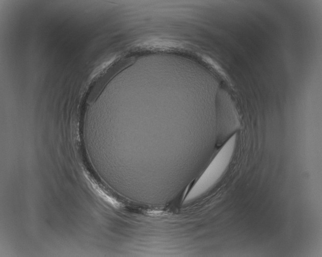 X0000080710399200701121823