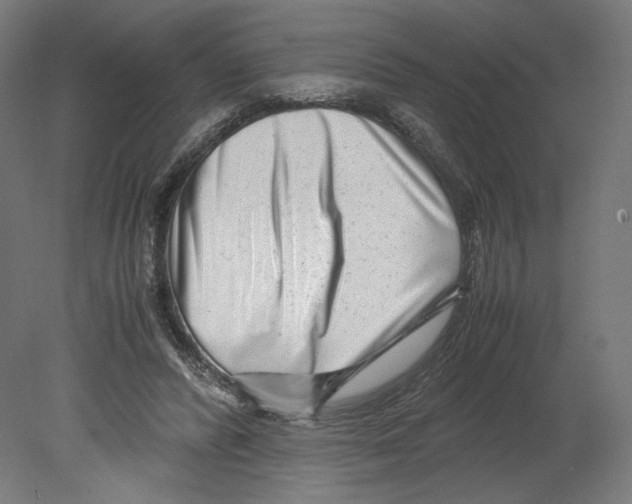 X0000080710400200701121823