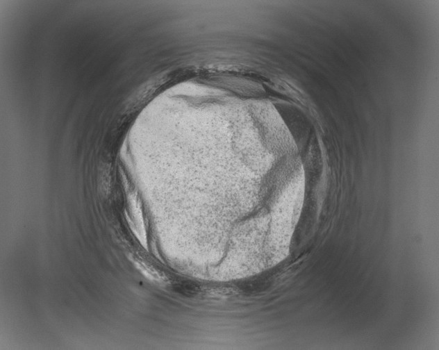 X0000080710401200701121823