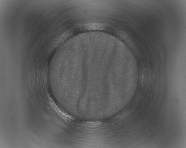 X0000080710402200701121823