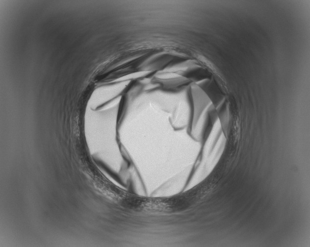 X0000080710403200701121823