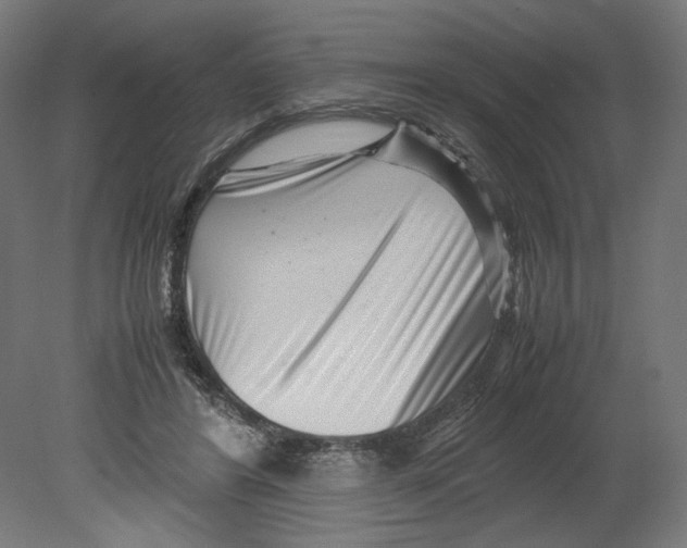 X0000080710404200701121823