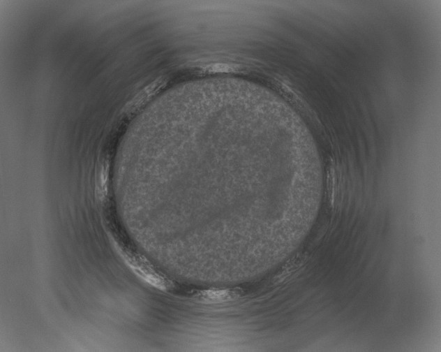 X0000080710406200701121823