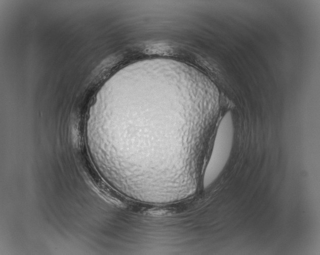 X0000080710408200701121823