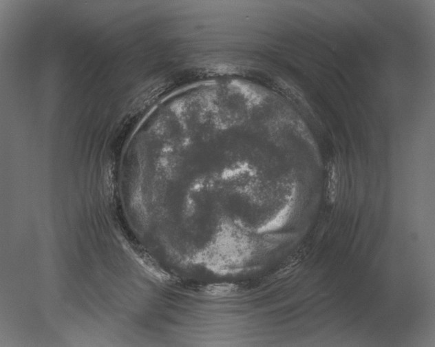 X0000080710410200701121823