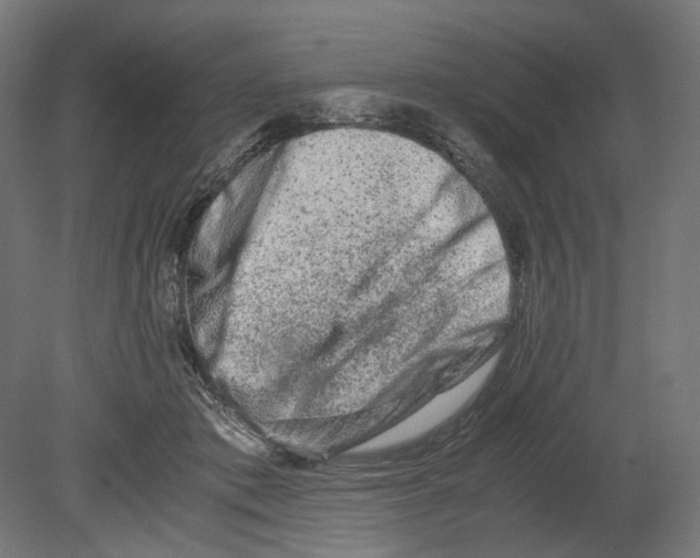 X0000080710413200701121822