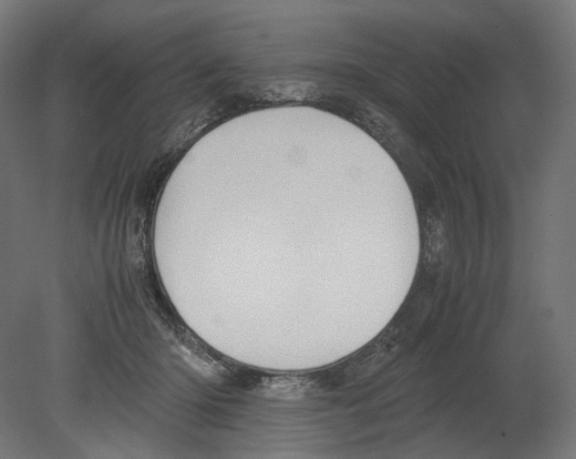 X0000080710414200701121822