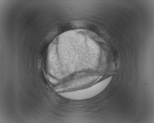 X0000080710417200701121822