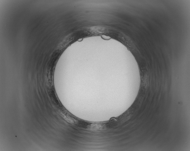 X0000080710418200701121822