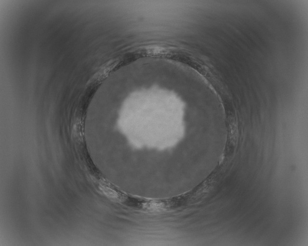 X0000080710419200701121822