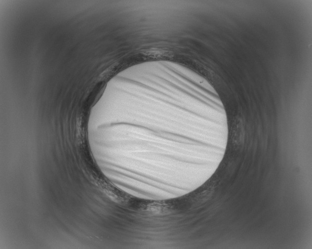 X0000080710420200701121822