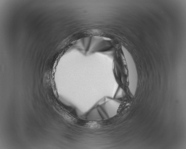 X0000080710425200701121822