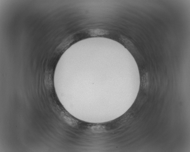 X0000080710426200701121822