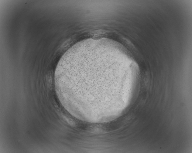 X0000080710427200701121822