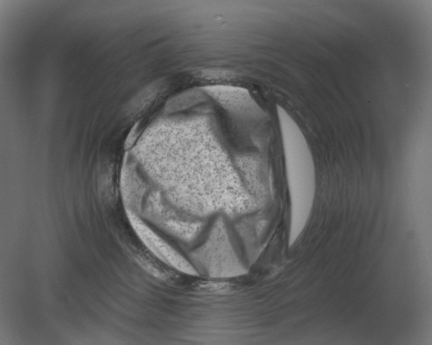 X0000080710428200701121822