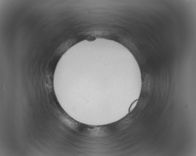 X0000080710430200701121822