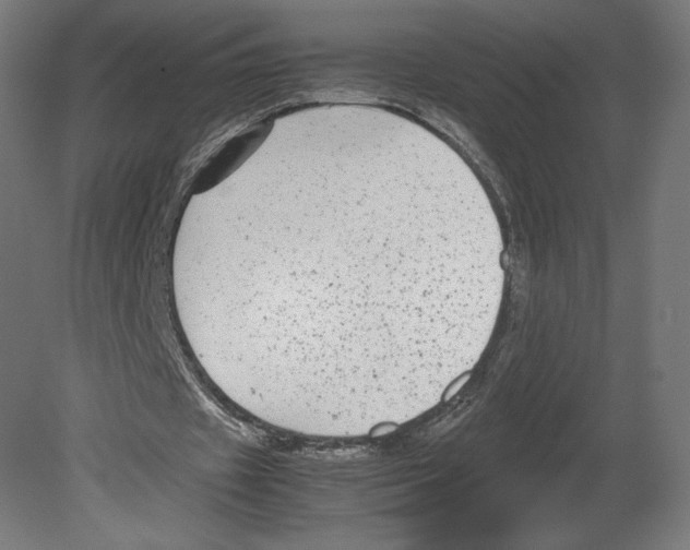 X0000080710433200701121821