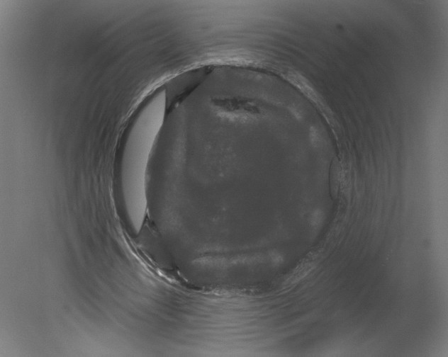 X0000080710434200701121821