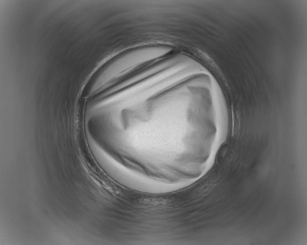 X0000080710435200701121821