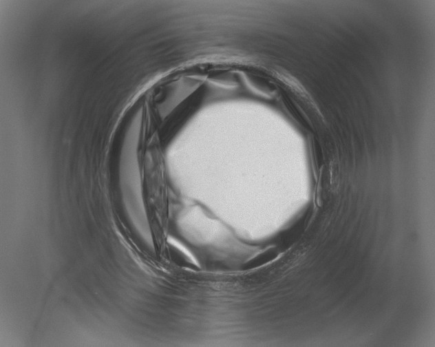 X0000080710436200701121821