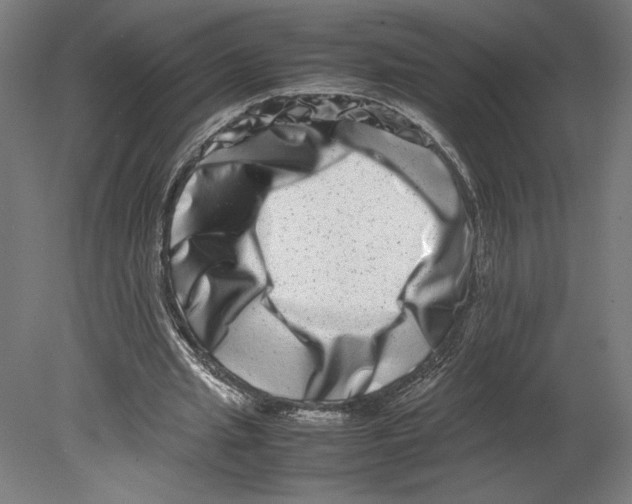 X0000080710437200701121821