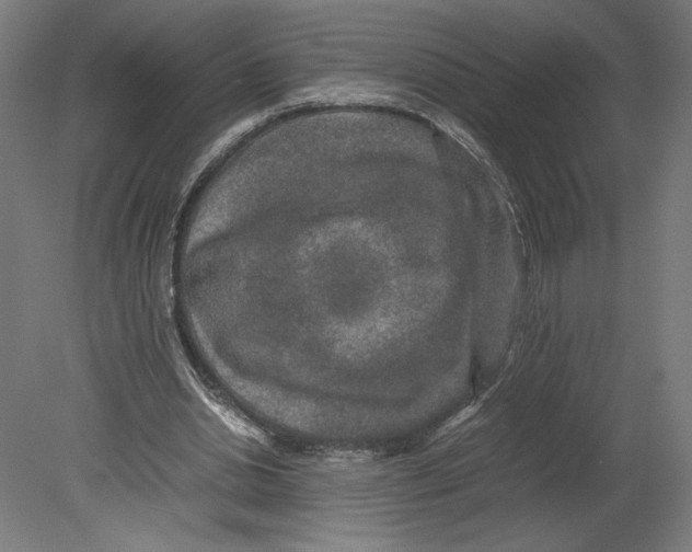 X0000080710438200701121821