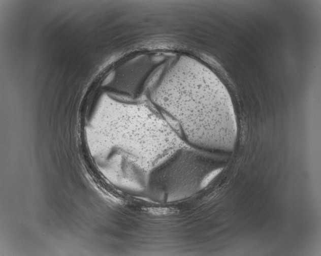 X0000080710439200701121821