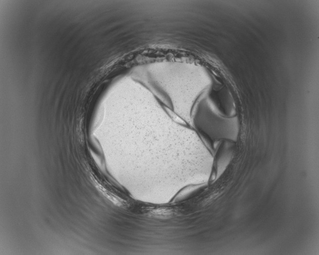 X0000080710441200701121821