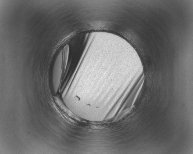 X0000080710442200701121821