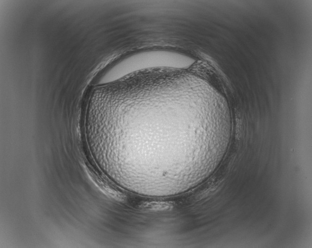 X0000080710443200701121822