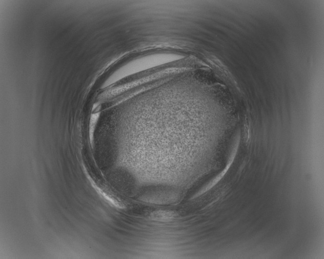 X0000080710444200701121822